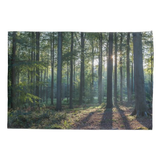 Housse D'oreillers Forest | Black Forest Germany (Dos)