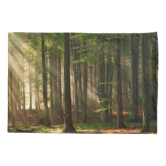 Housse D'oreillers Forêt | Forêt d'automne (Dos)