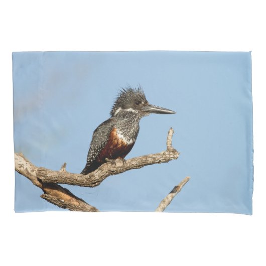 Housse D'oreillers Giant Kingfisher (devant)