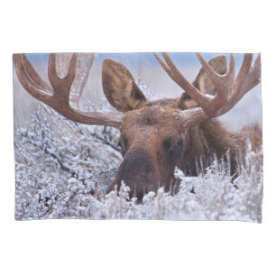 Housse D'oreillers Glace et neige   Grand Teton National Park, Wyomin