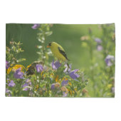 Housse D'oreillers Goldfinch sur Harebell Flower (Dos)