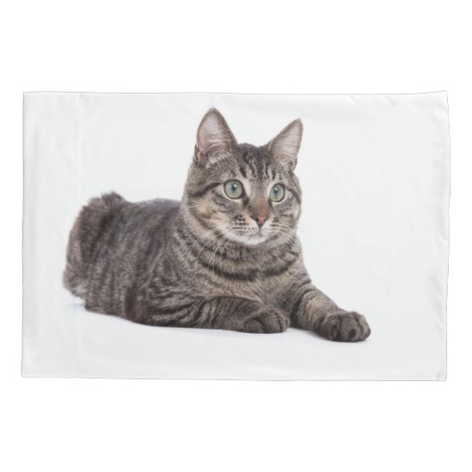 Housse D'oreillers Gray Tabby Cat (Dos)