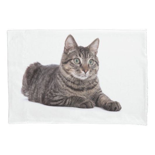 Housse D'oreillers Gray Tabby Cat (devant)