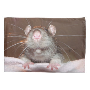 Housse D'oreillers grimacerie de la caisse de coussin de rat