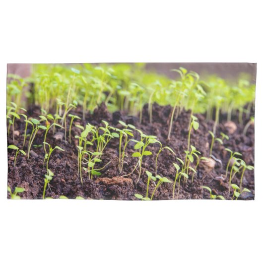 Housse D'oreillers Herbe à germes (devant)