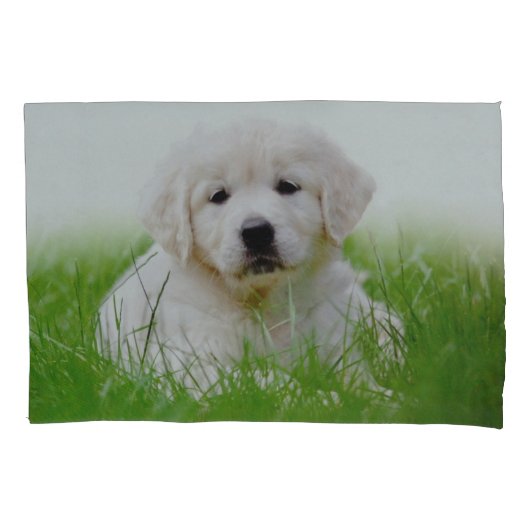 Housse D'oreillers Herbe verte de chiot mignon de golden retriever (devant)