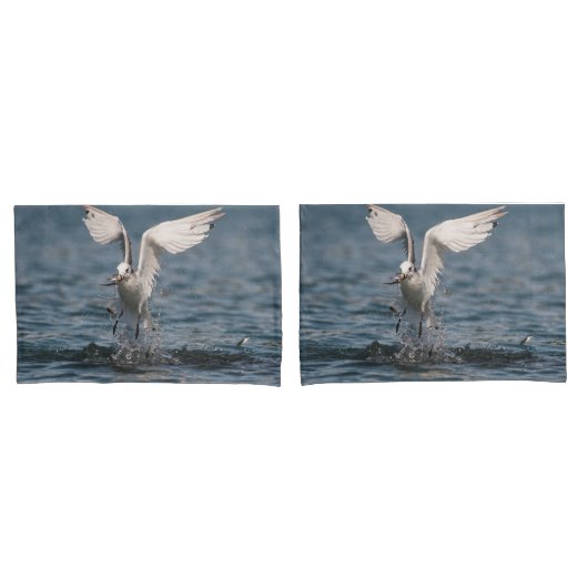 Housse D'oreillers Hovering Kittiwake (devant-Set)