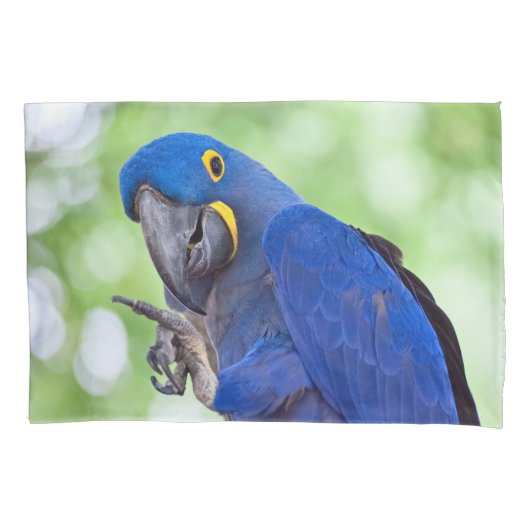 Housse D'oreillers Hyacinth Macaw Bird (devant)