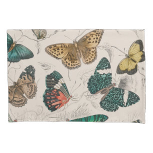 Housse D'oreillers Illustration de papillon antique : 1820 Orfèvre