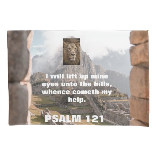 Housse D'oreillers imaginez, blanc, lion, dévotion, bible, (devant)