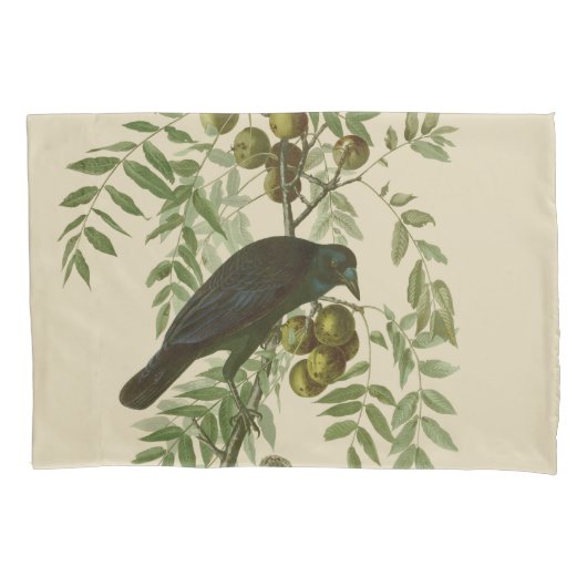Housse D'oreillers Impression d'oiseau Grackle Violet d'Audubon Botan (devant)