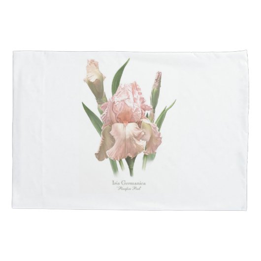 Housse D'oreillers Iris rose (Dos)