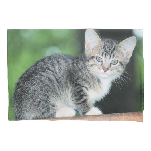 Housse D'oreillers Kitten (devant)