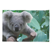 Housse D'oreillers Koala et eucalyptus (Dos)