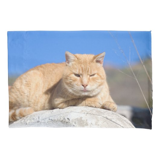 Housse D'oreillers Lazy cat (devant)