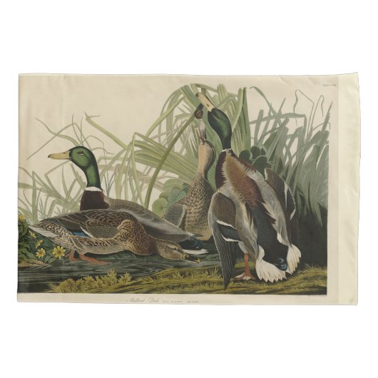 Housse D'oreillers Le canard colvert des oiseaux d'Amérique d'Audubon (Dos-gauche)