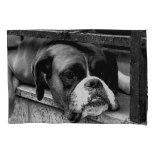 Housse D'oreillers Le Chien De La Boxe Sur Le Drapeau De La Fenêtre