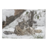 Housse D'oreillers Léopard de neige curieux dans la neige (Dos)