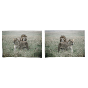 Housse D'oreillers Les paires de lion (filtre de brouillard) reposent