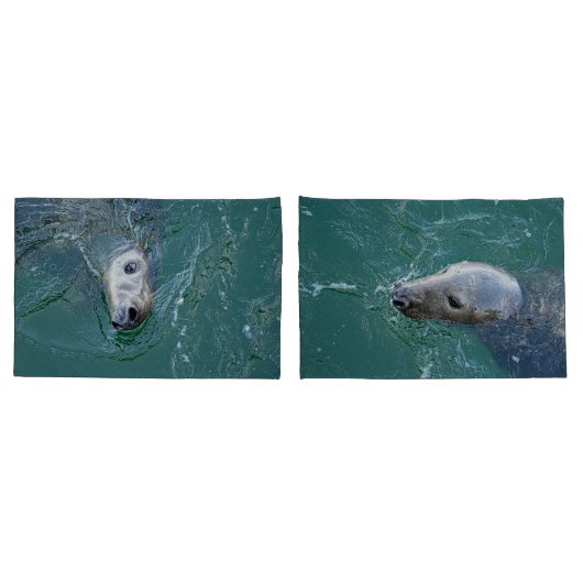 Housse D'oreillers Les plus beaux phoques gris de Chatham (Dos-Set)