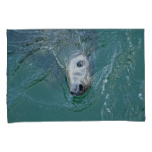 Housse D'oreillers Les plus beaux phoques gris de Chatham (devant-Droit)