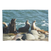 Housse D'oreillers Lions de la mer de San Diego (devant)