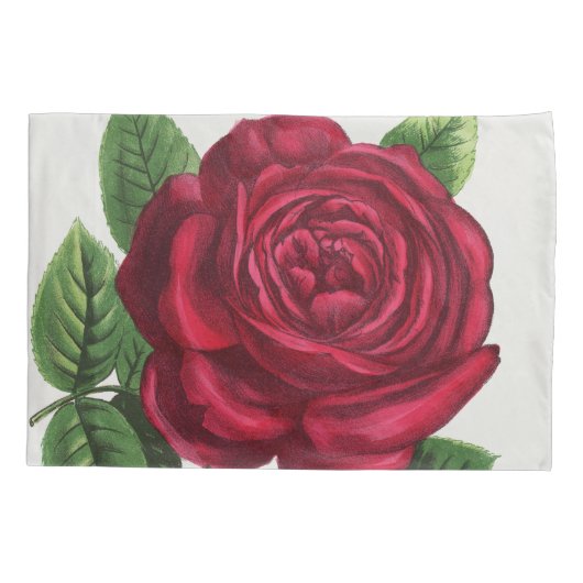 Housse D'oreillers Lithographie de rose antique, François-Frédéric Gr (Dos)