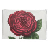 Housse D'oreillers Lithographie de rose antique, François-Frédéric Gr (Dos)