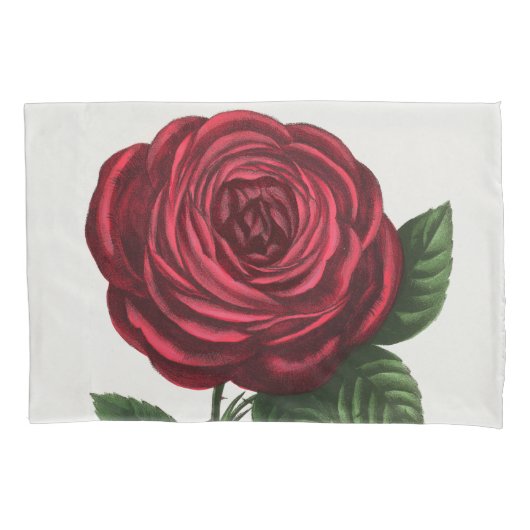 Housse D'oreillers Lithographie de rose antique, François-Frédéric Gr (devant)