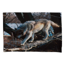 Loup