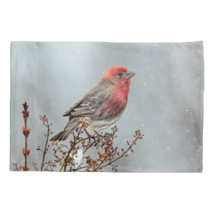 Housse D'oreillers Maison Finch en Neige - Photo originale