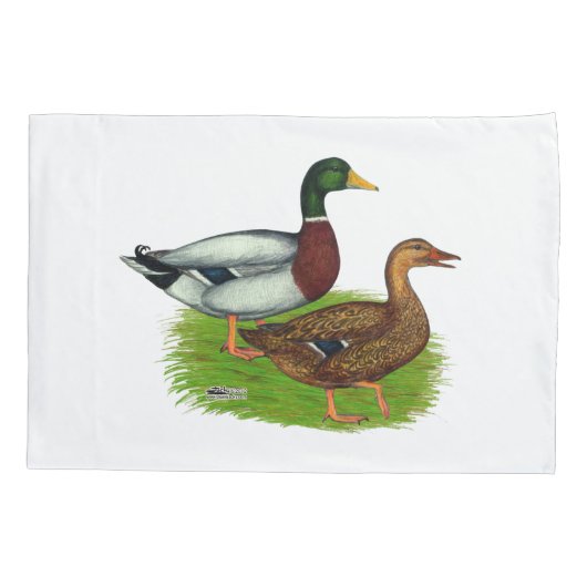 Housse D'oreillers Mallard Drake et Duck (Dos)