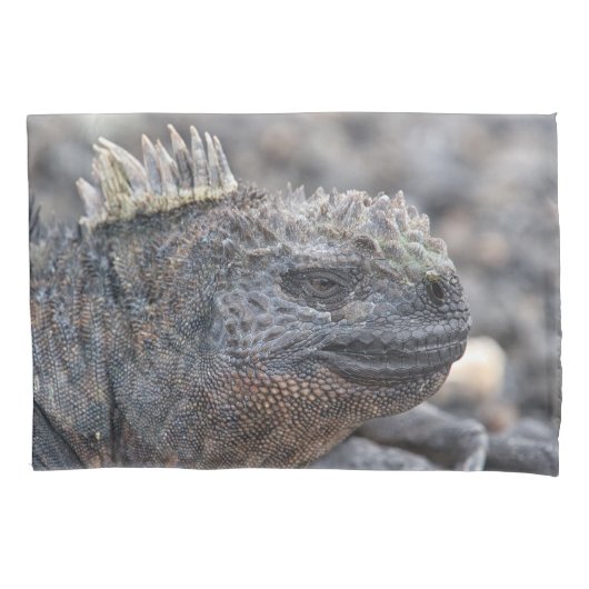 Housse D'oreillers Marine Iguana (devant)