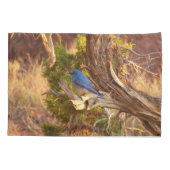 Housse D'oreillers Mountain Bluebird at Arches National Park (Dos)