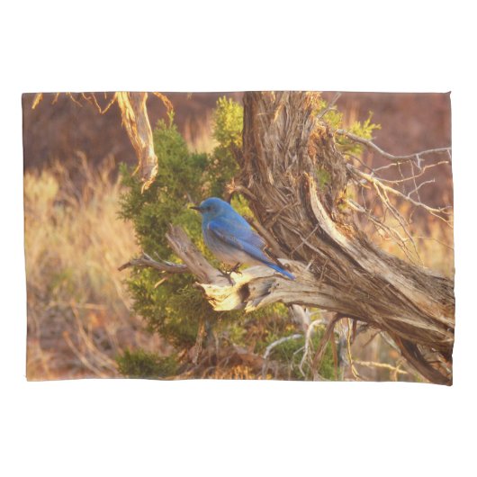 Housse D'oreillers Mountain Bluebird at Arches National Park (devant)