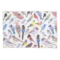 Oiseaux d'Amérique - animaux de compagnie et oisea