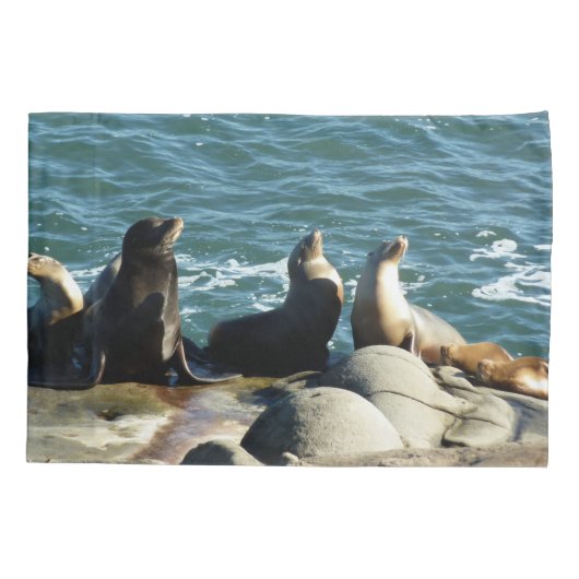 Housse D'oreillers Otaries de San Diego (Dos)