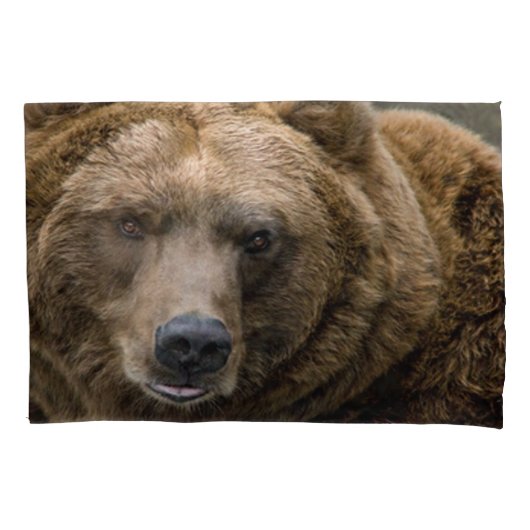 Housse D'oreillers Ours Brown (devant)