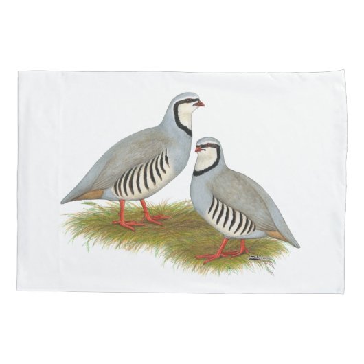 Housse D'oreillers Paire de perdrix de Chukar (Dos)