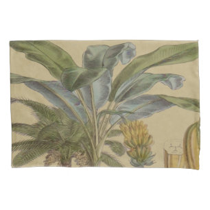Housse D'oreillers Palm Antique Fruit Tropical Art Botanique