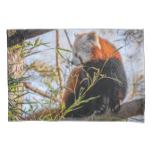Housse D'oreillers Panda rouge (devant)