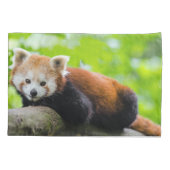 Housse D'oreillers Panda rouge (Dos-gauche)