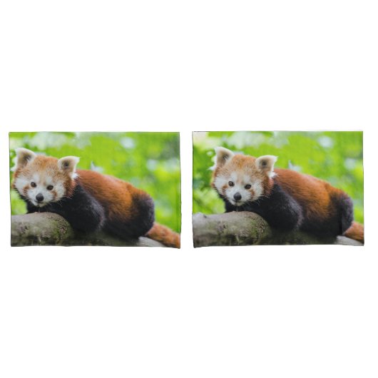 Housse D'oreillers Panda rouge (devant-Set)