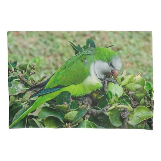 Housse D'oreillers Perroquet vert (devant)