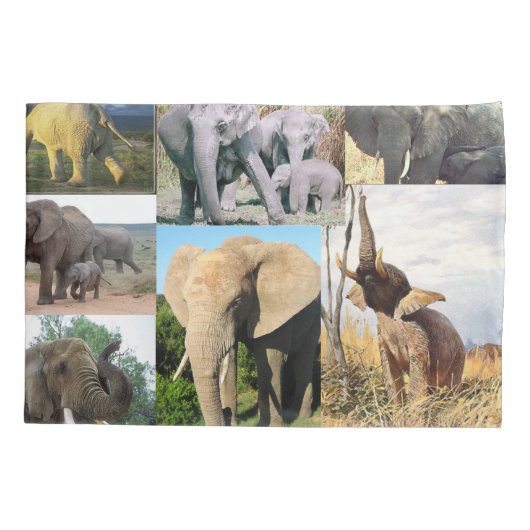 Housse D'oreillers Photo couleur éléphant (Dos)