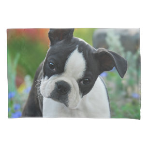 Housse D'oreillers Photo mignonne de chiot de chien de Boston Terrier