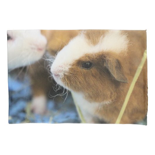 Housse D'oreillers Piggy (devant)