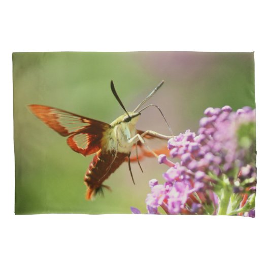 Housse D'oreillers Pilote (devant)