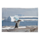 Housse D'oreillers Pingouin devant une arche de glace (Dos)