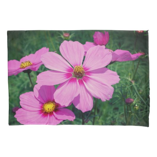 Housse D'oreillers Pink cosmos Flowers (devant)